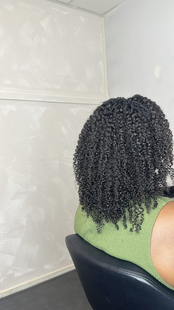 Cambodian Afro Kinky Curly - Image 4