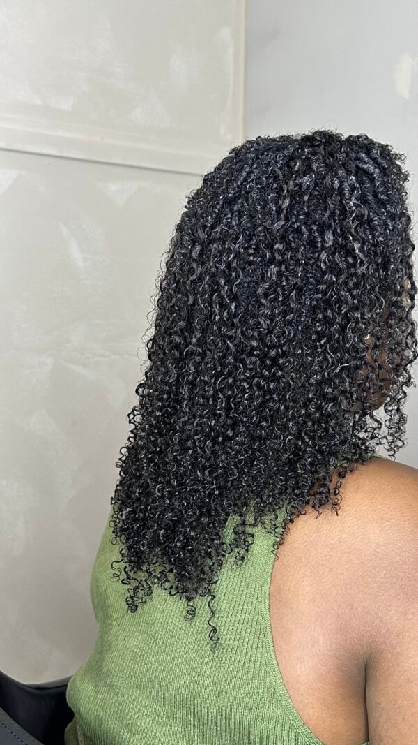 Cambodian Afro Kinky Curly - Image 5