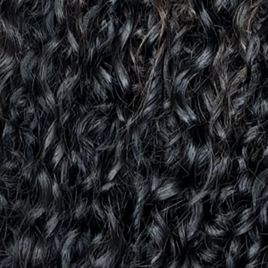 Burmese Curly